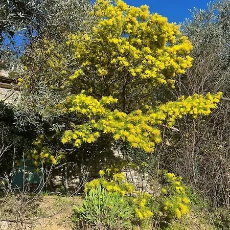 La Crocetta Di Via Romana Appartement