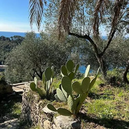 La Crocetta Di Via Romana Camogli